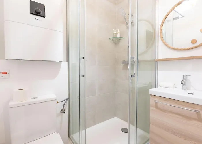 Le Confort De L'ours * Mulhouse