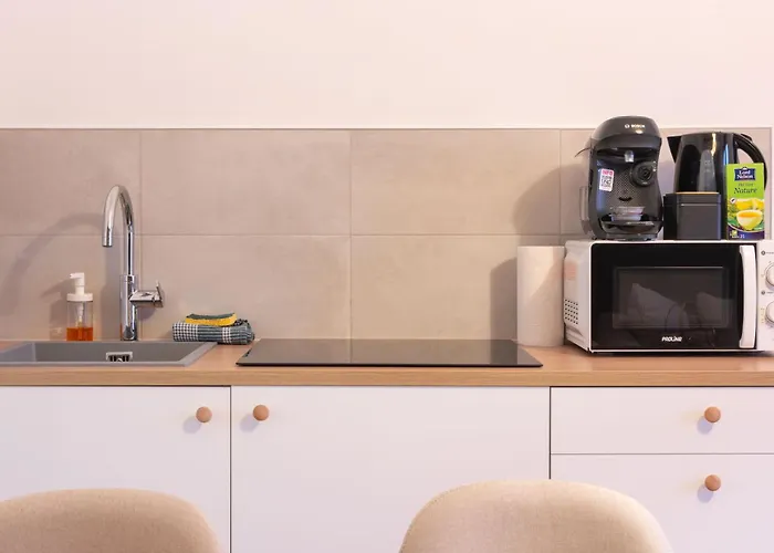 Le Confort De L'ours