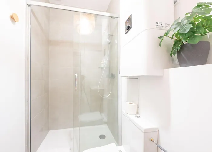 Le Confort De L'ours