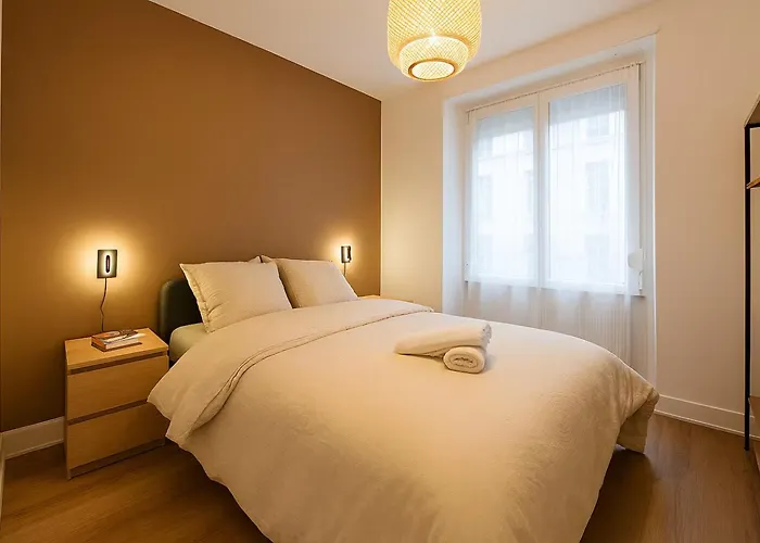 Le Confort De L'ours * Mulhouse